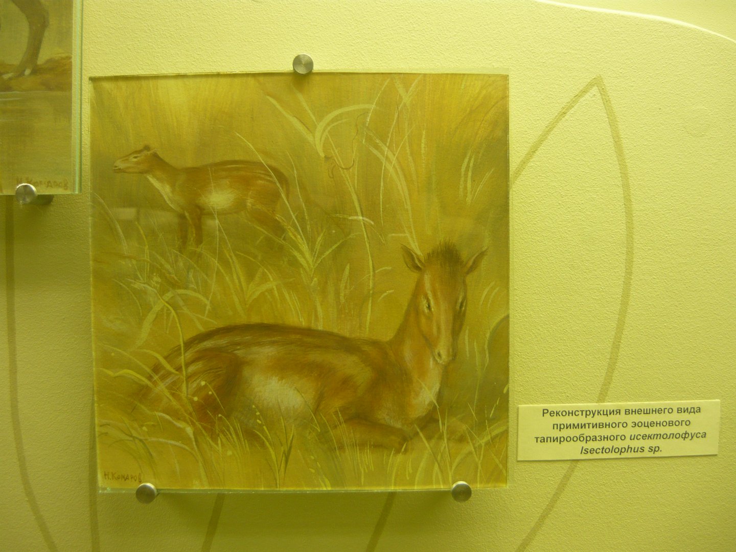 Isectolophus sp. reconstruction