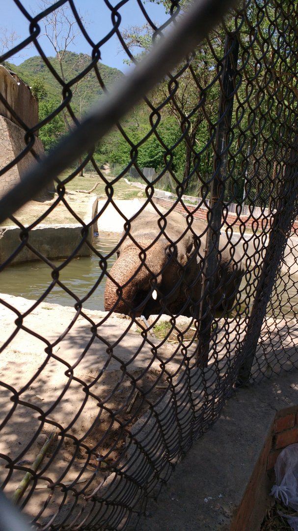 Islamabad Zoo (Pakistan)