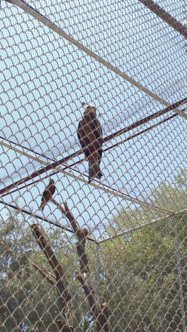 Islamabad Zoo (Pakistan)