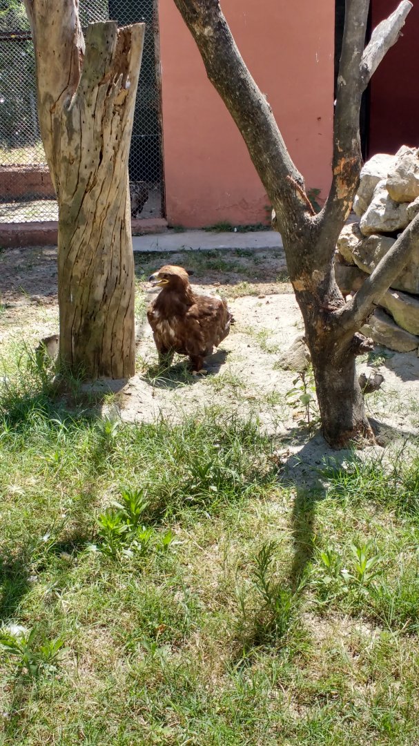 Islamabad Zoo (Pakistan)