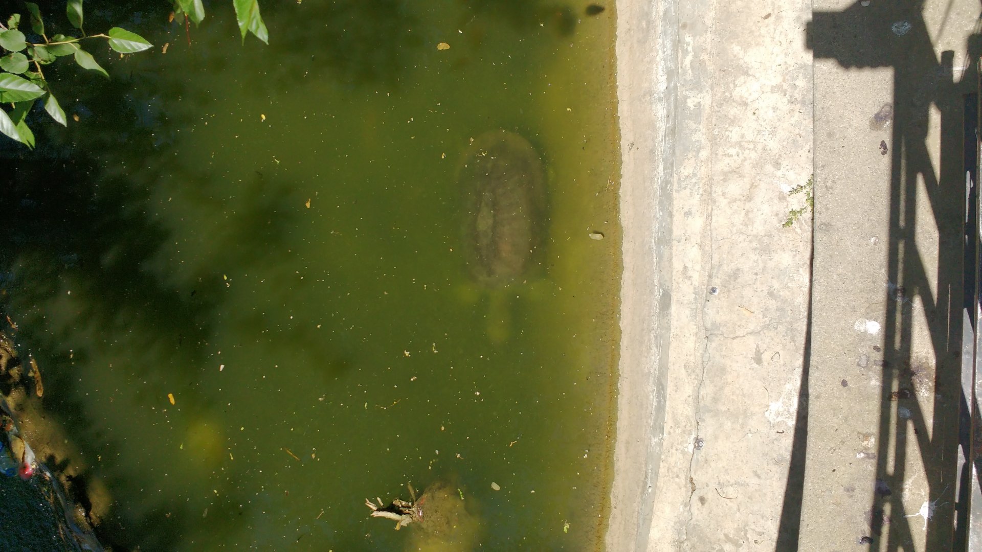 Islamabad Zoo (Pakistan)