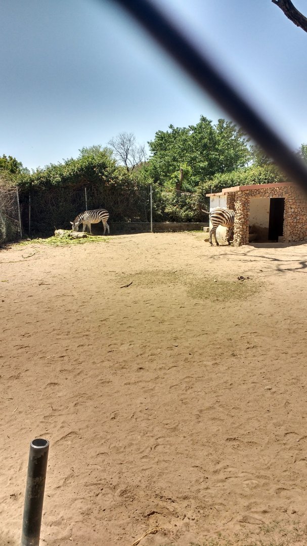 Islamabad Zoo (Pakistan)