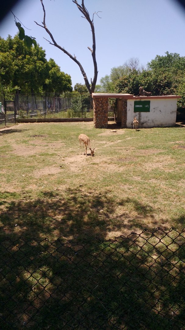 Islamabad Zoo (Pakistan)