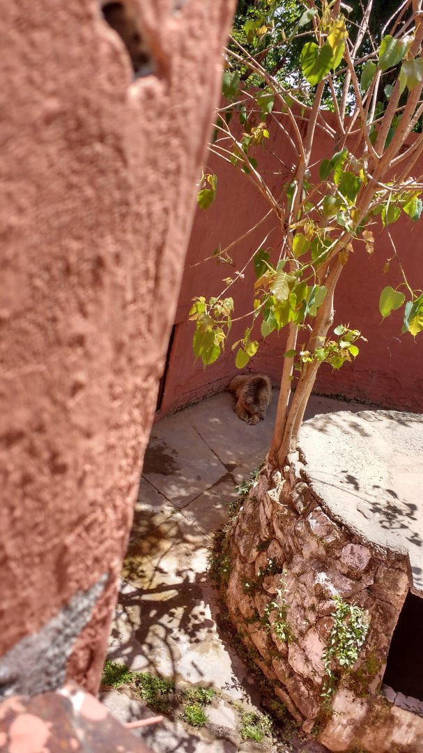 Islamabad Zoo (Pakistan)