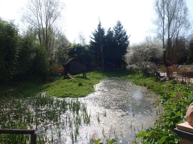 Island (April 19th, 2015)