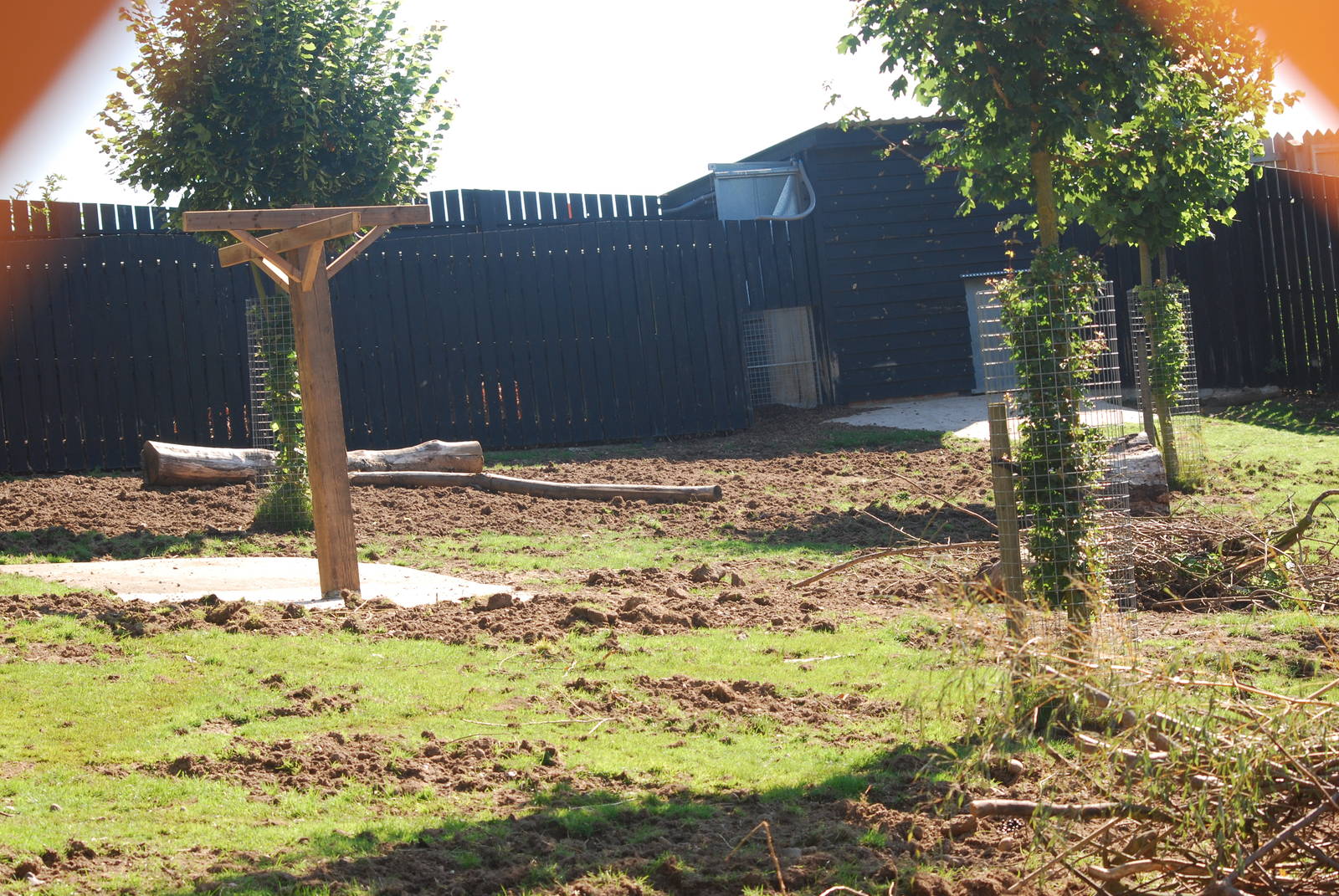 Island Dwellers mixed enclosure