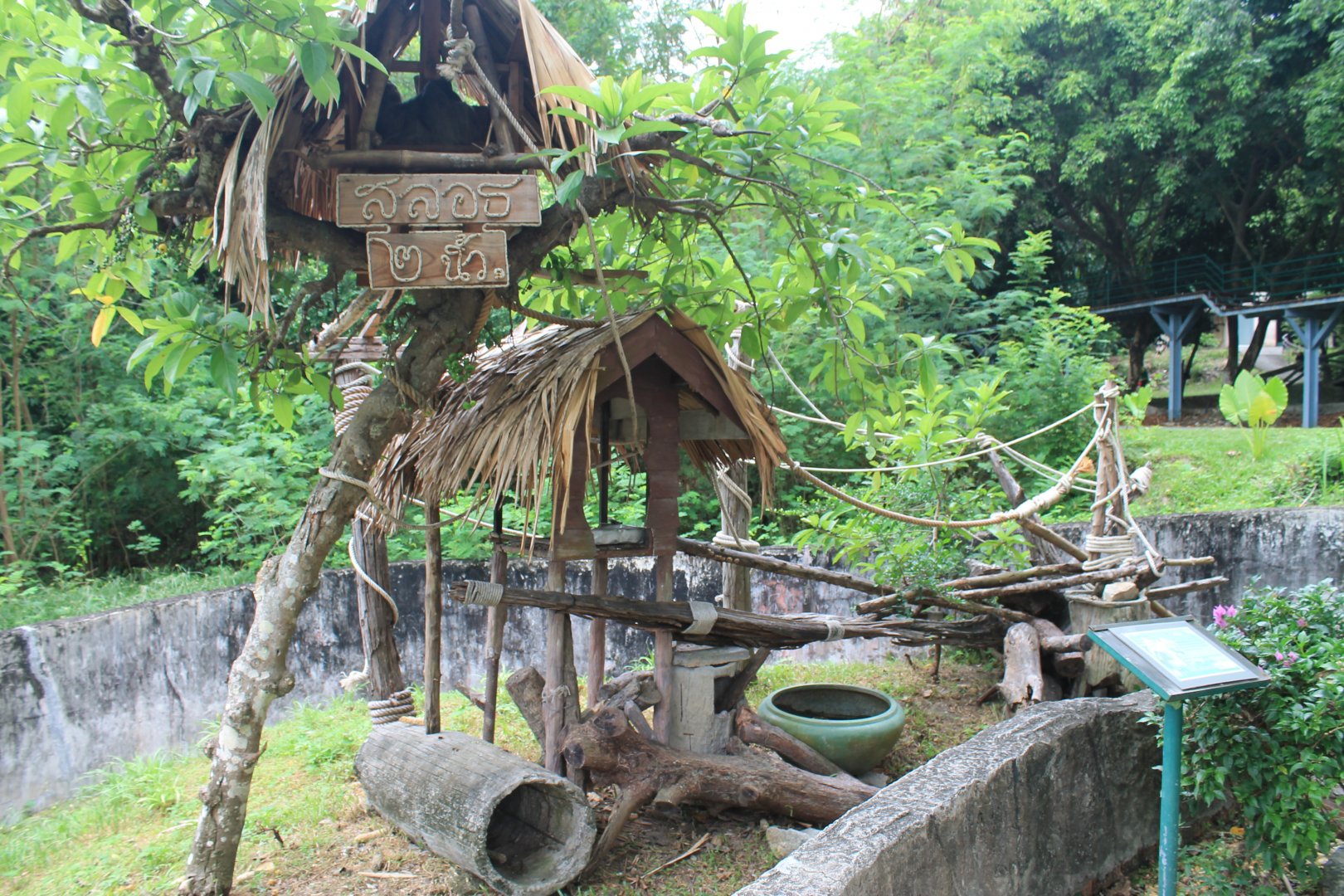 island enclosure for Two-toed Sloth (Choloepus didactylus)