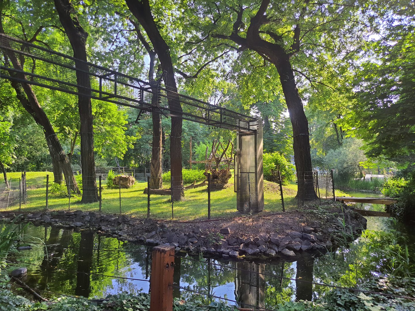 Island enclosure for Yellow-bellied mangabey