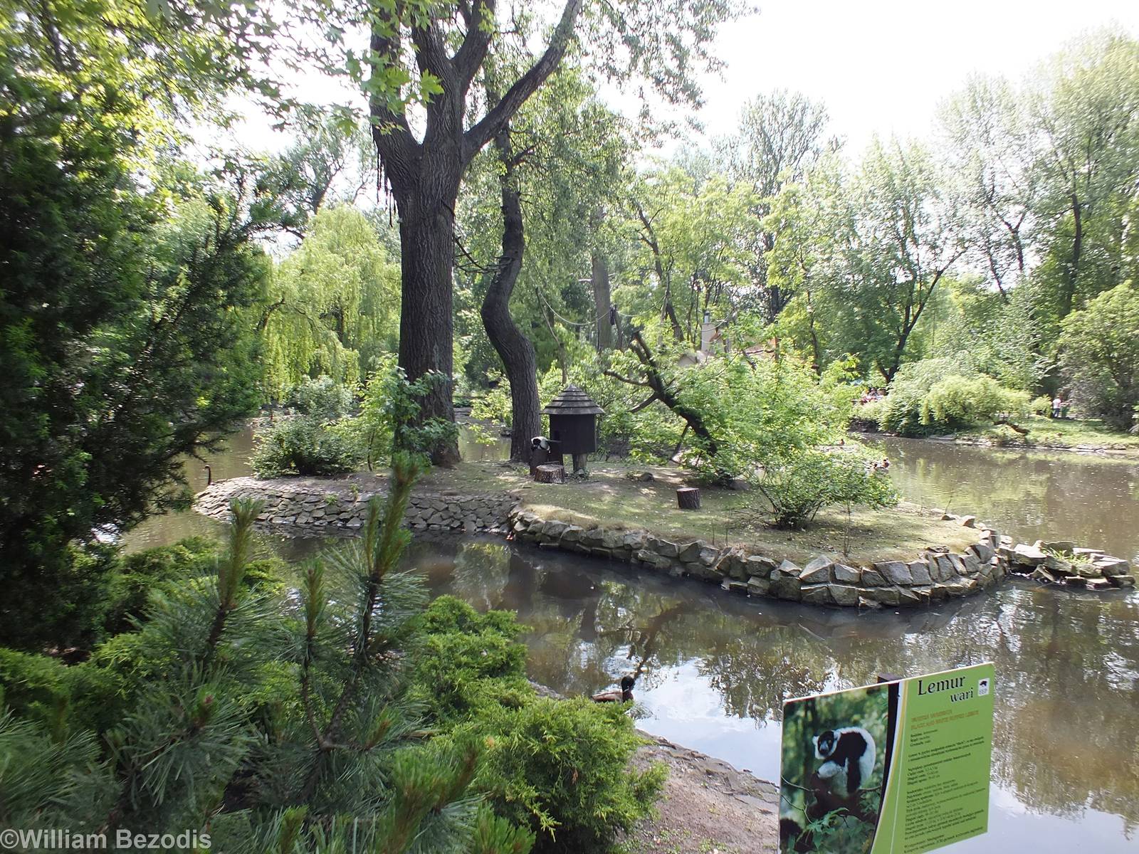 Island for Black-and-white Ruffed Lemurs