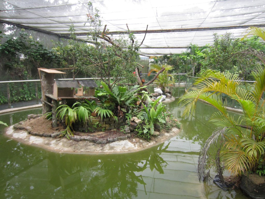 Island for Callitrichids in Butterfly House