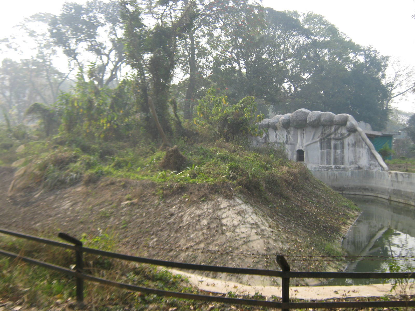 island for hanuman langurs