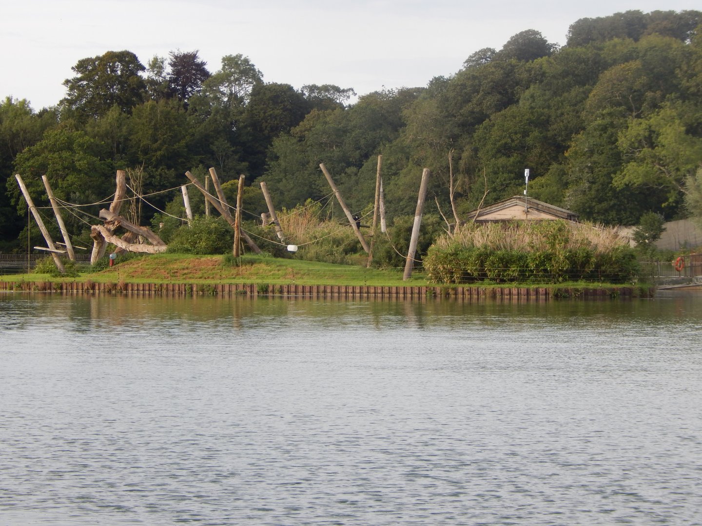 Island for Mantled Guereza 110921