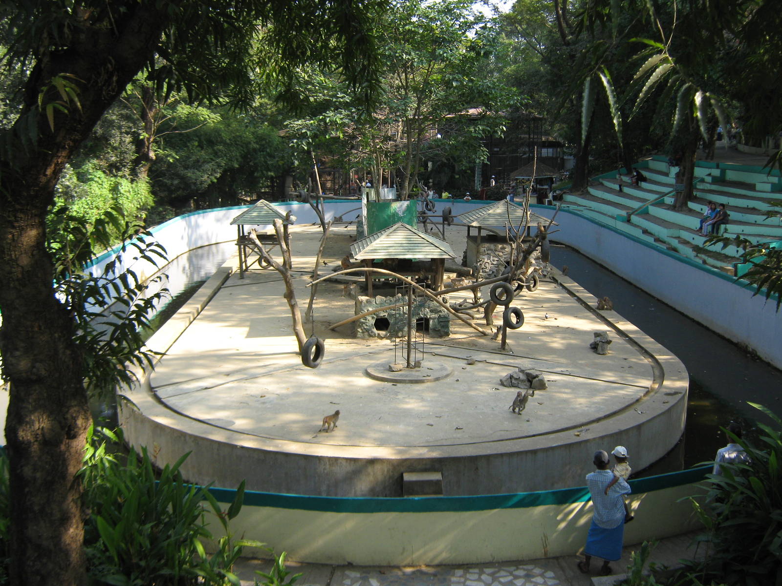 island for Rhesus Macaques