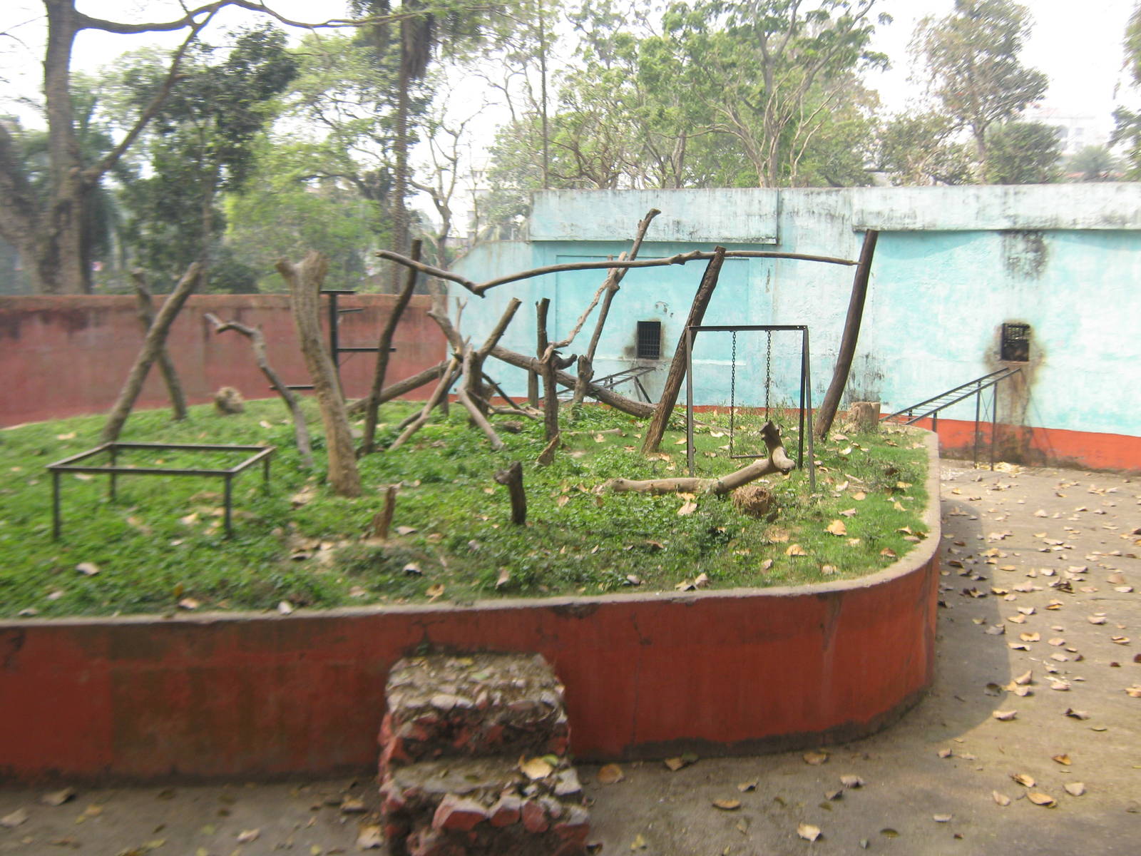 island for stump-tailed macaques (Macaca arctoides)