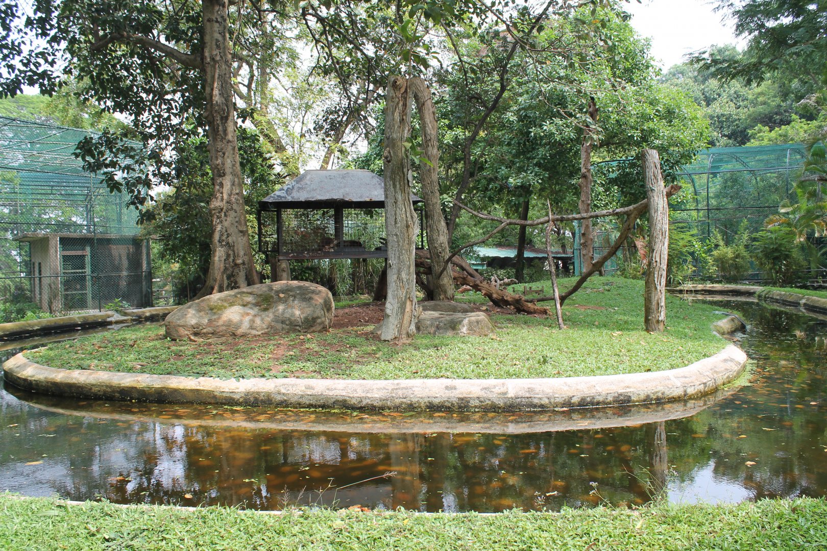 island for White-fronted Brown Lemurs (Eulemur albifrons)