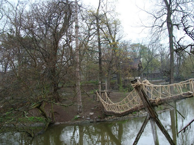 Island Hylobates lar