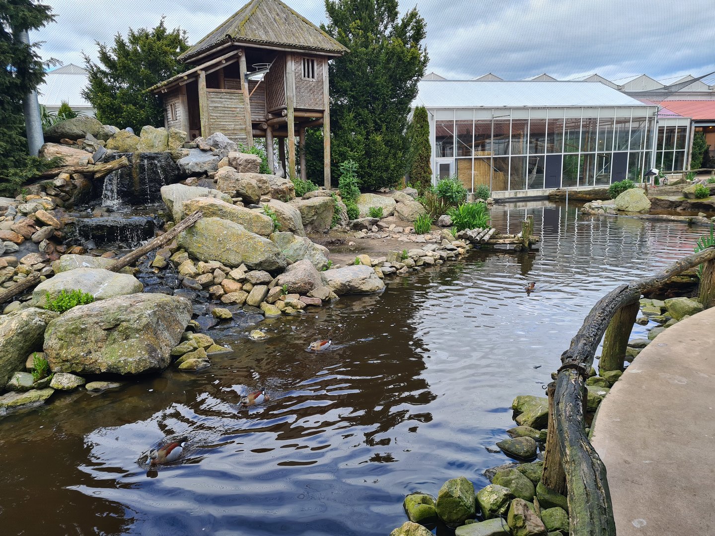 Island in Lemur kingdom