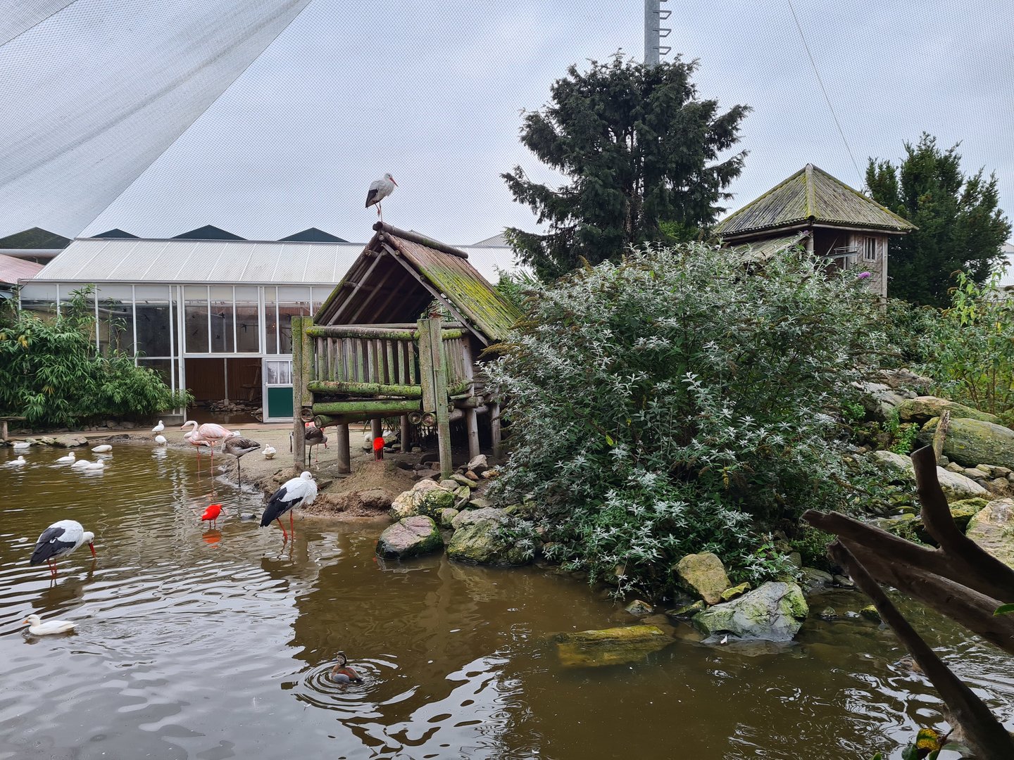 Island in Lemur kingdom