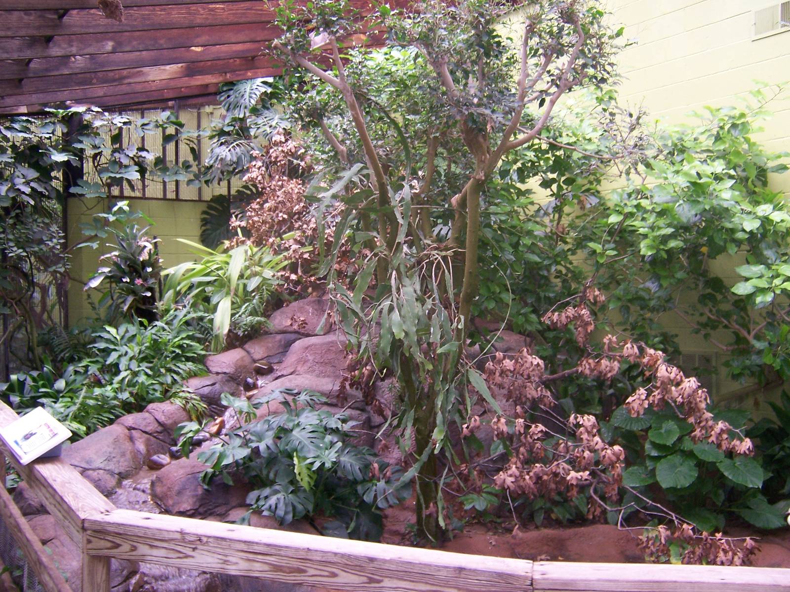 Island Life bird exhibit