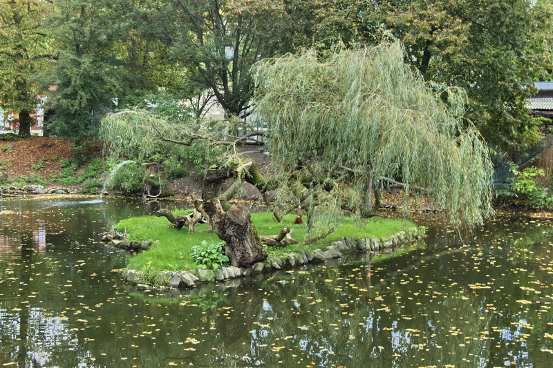 Island of Ruffed Lemurs