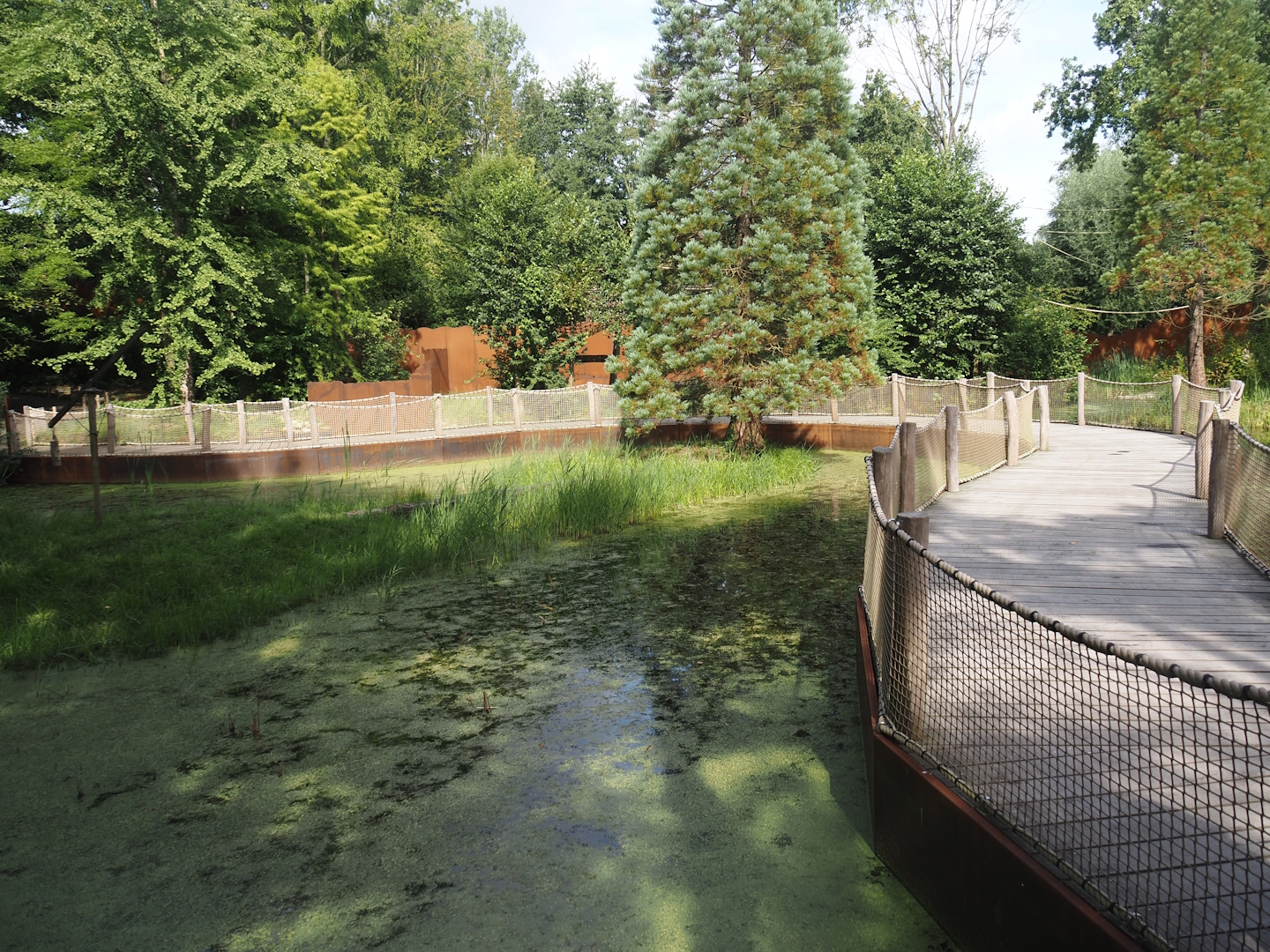Island part of the Bush dog exhibit, 2024-08-21