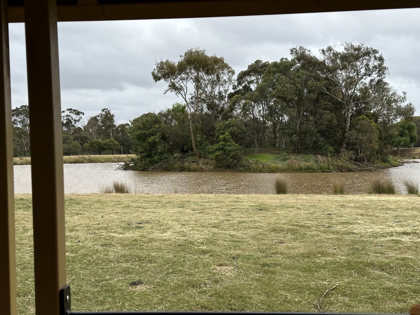 Island (Safari Tour)