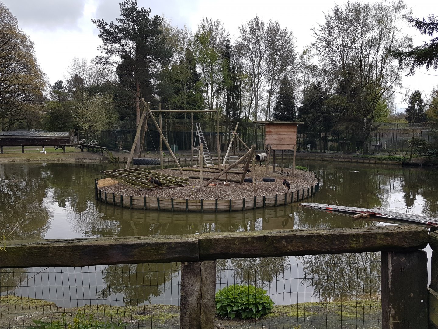 Island under construction