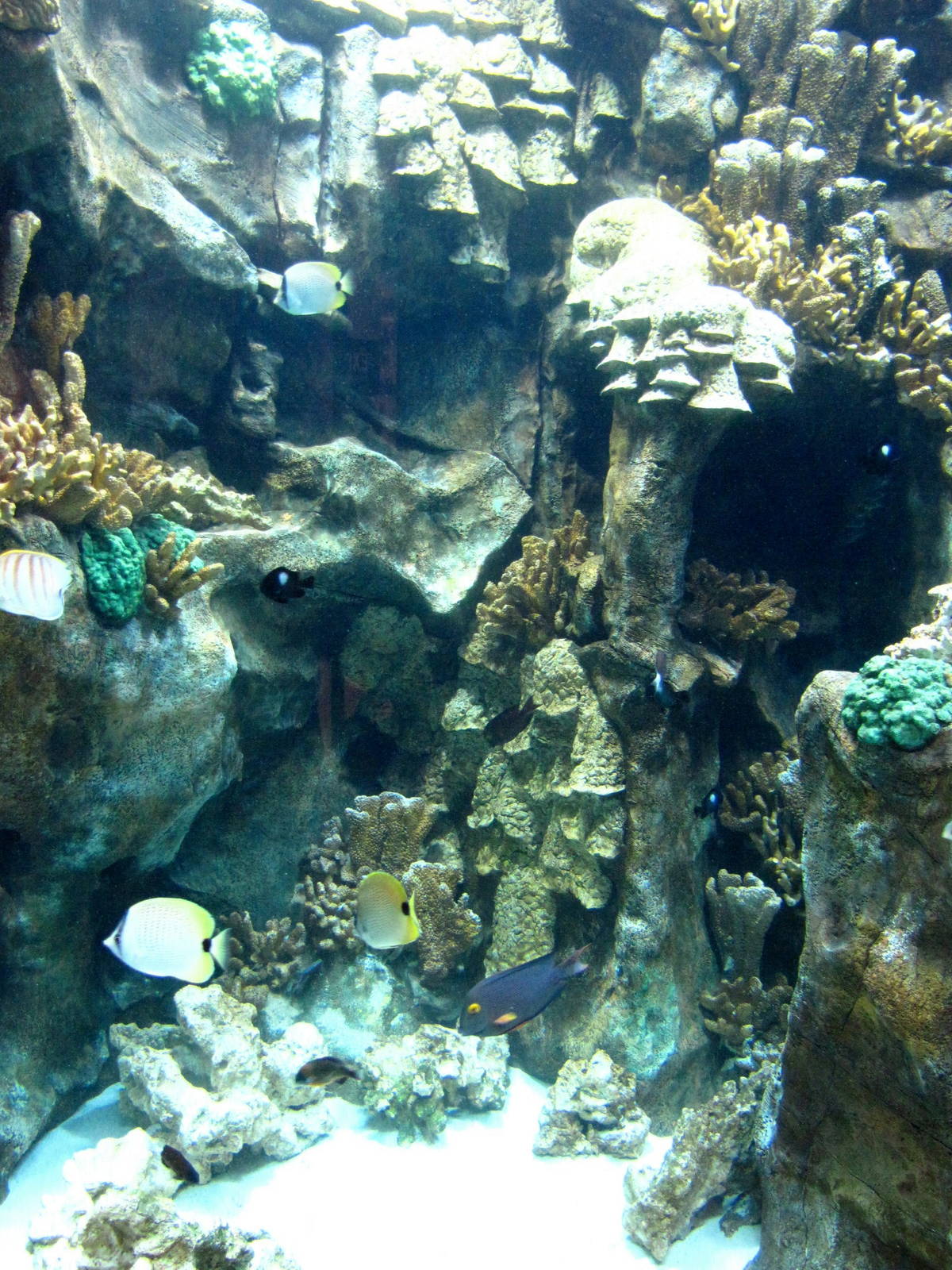 Island Zone Aquarium