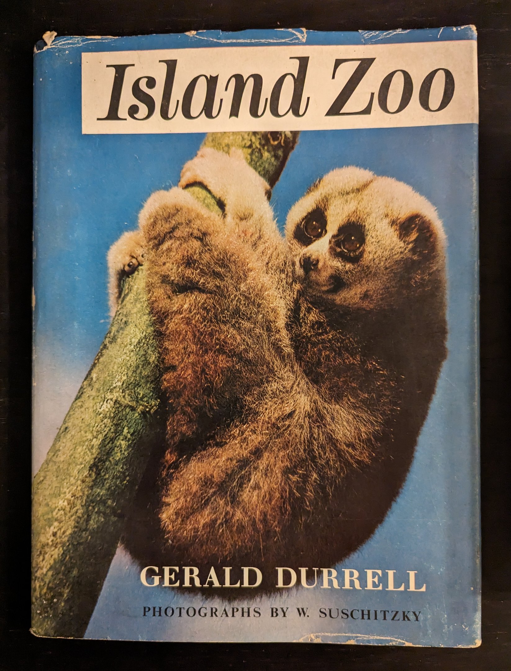 Island Zoo