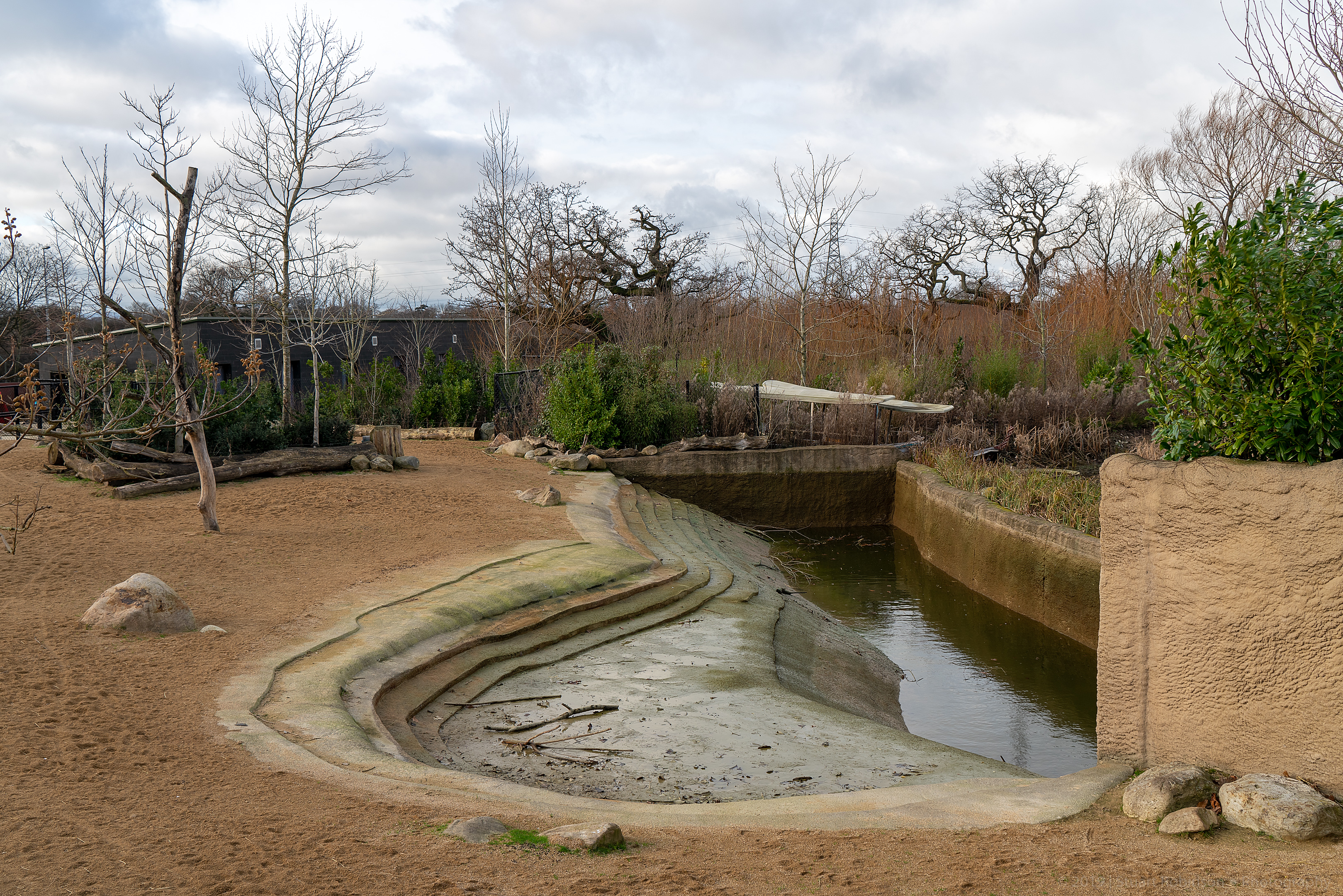 Islands - 13/01/2019