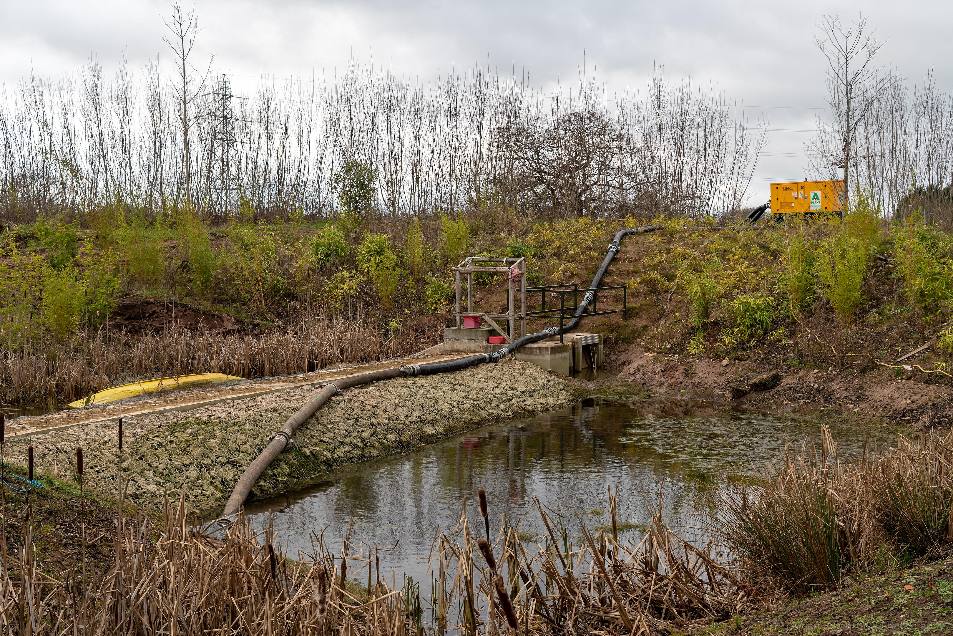 Islands - 13/01/2019