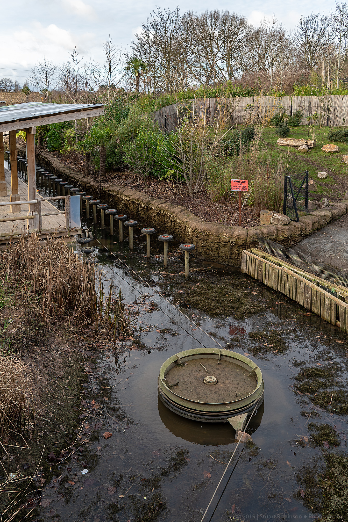 Islands - 13/01/2019