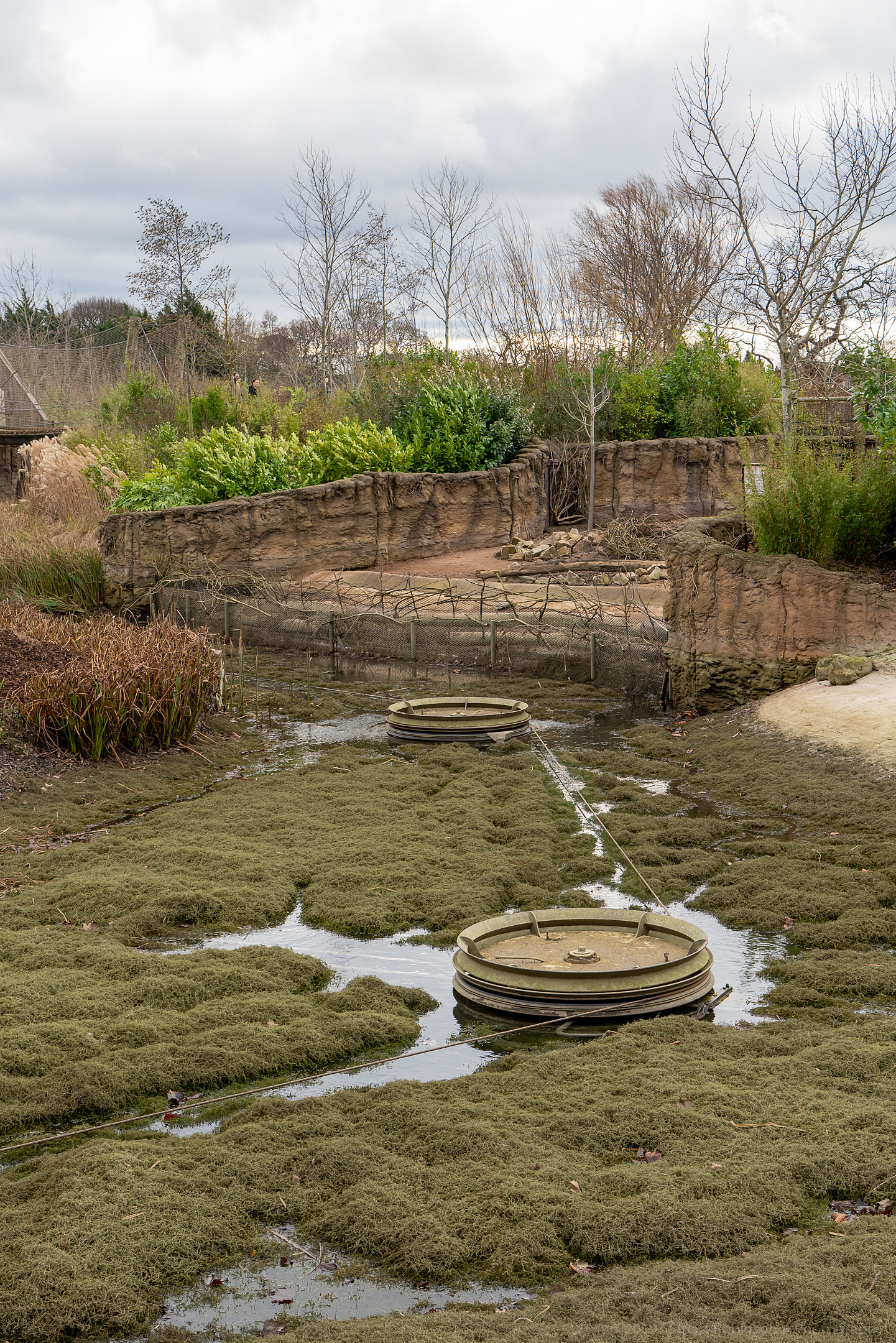 Islands - 13/01/2019