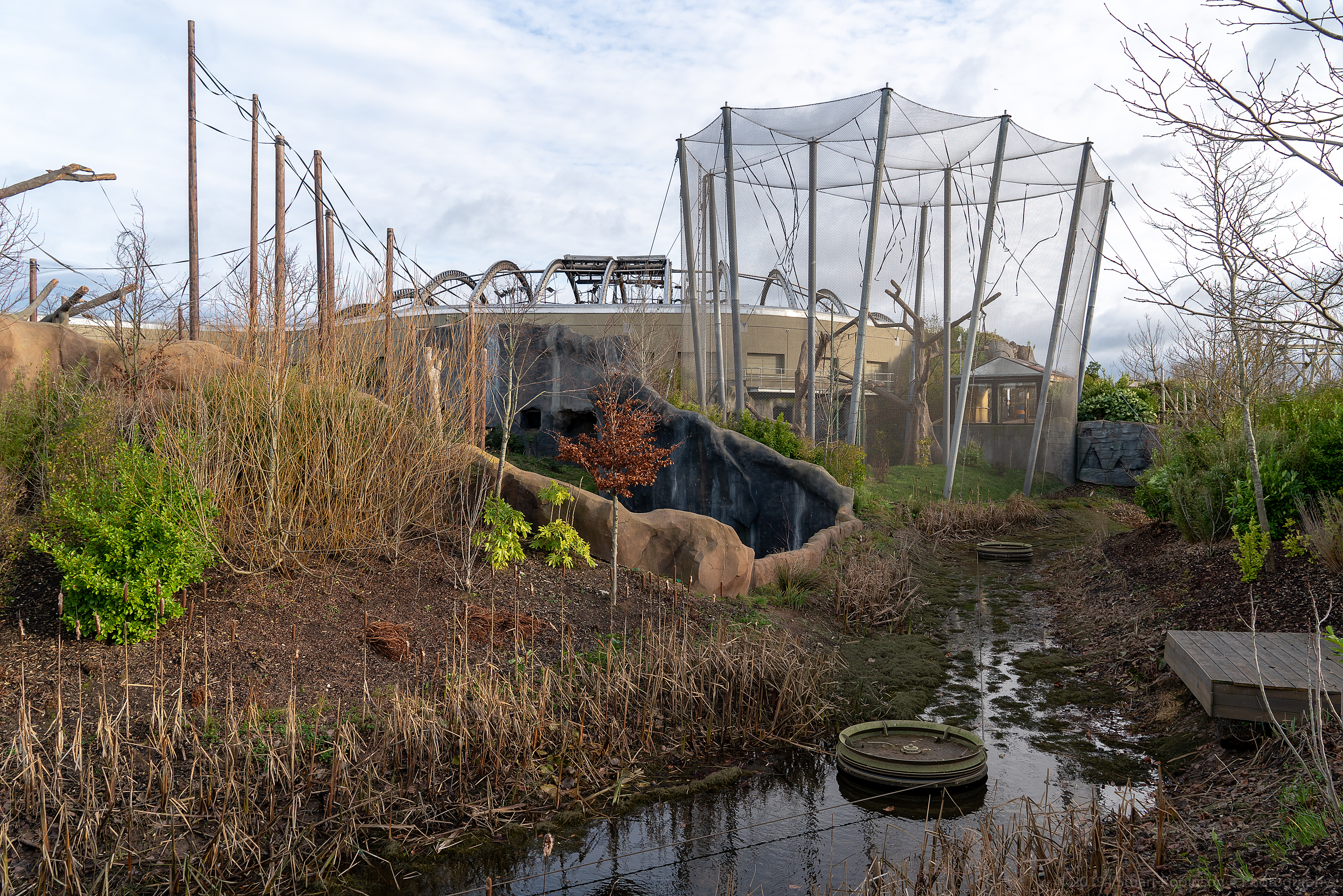 Islands - 13/01/2019