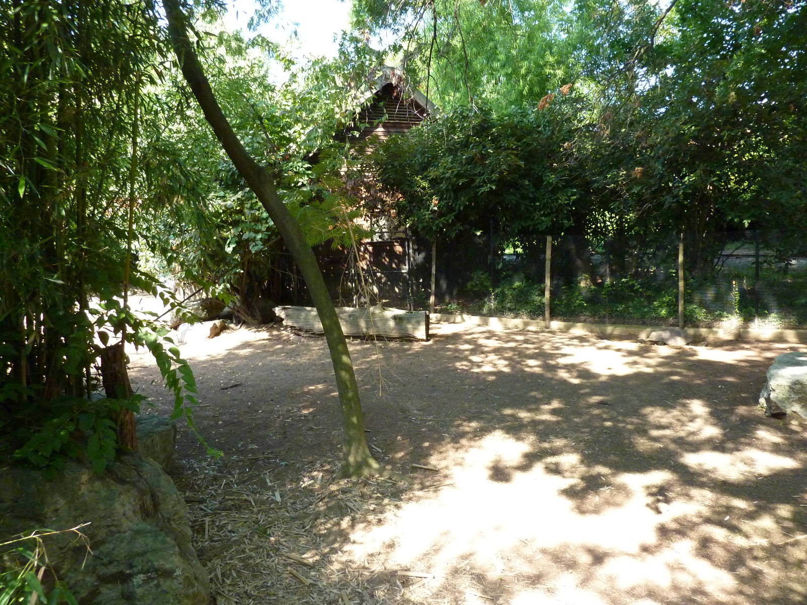 Islands - Aldabra Tortoise/Demoiselle Crane Exhibit