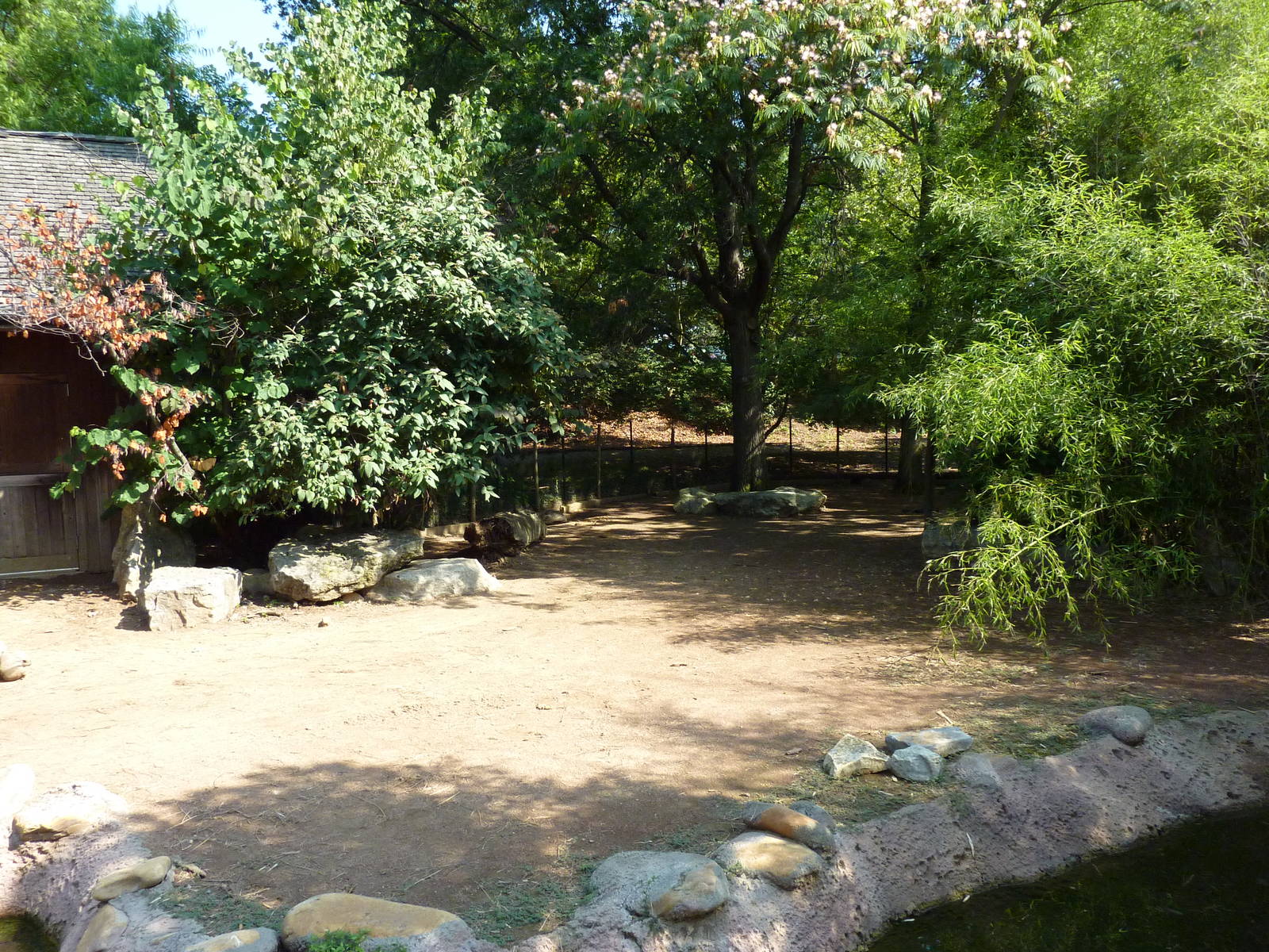 Islands - Aldabra Tortoise/Demoiselle Crane Exhibit