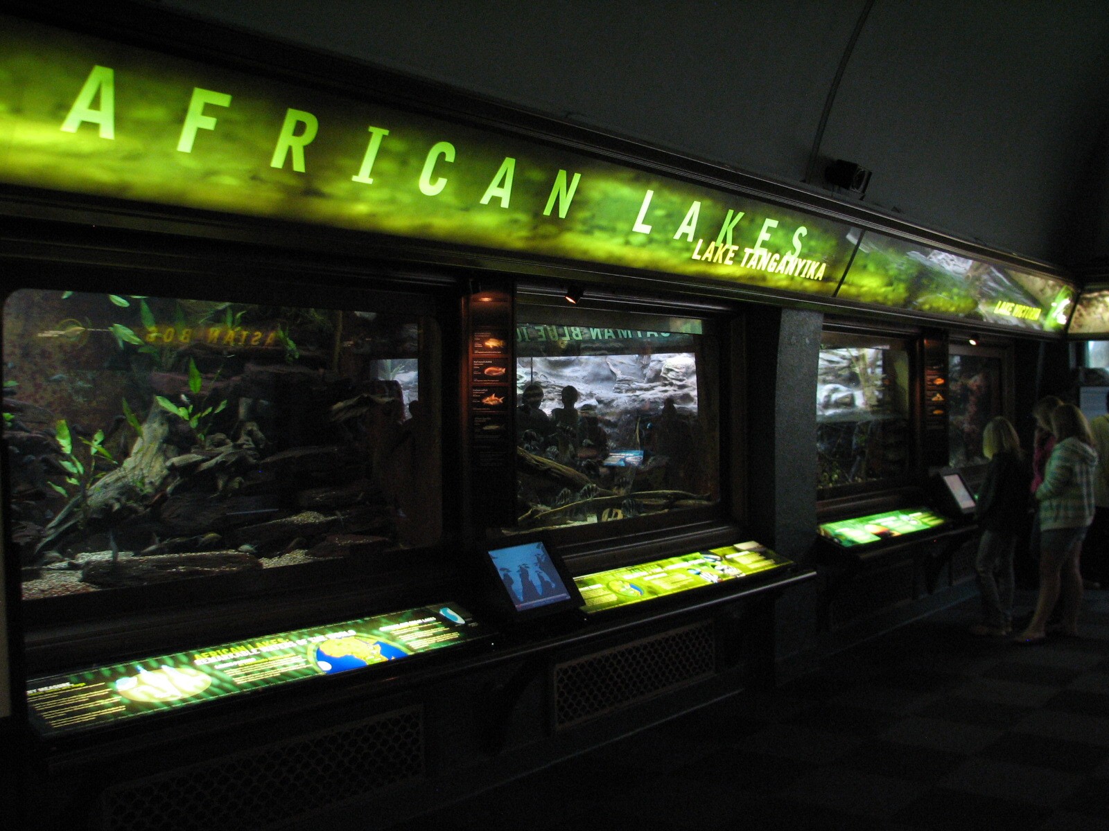 Islands and Lakes - African Lakes Exhibits