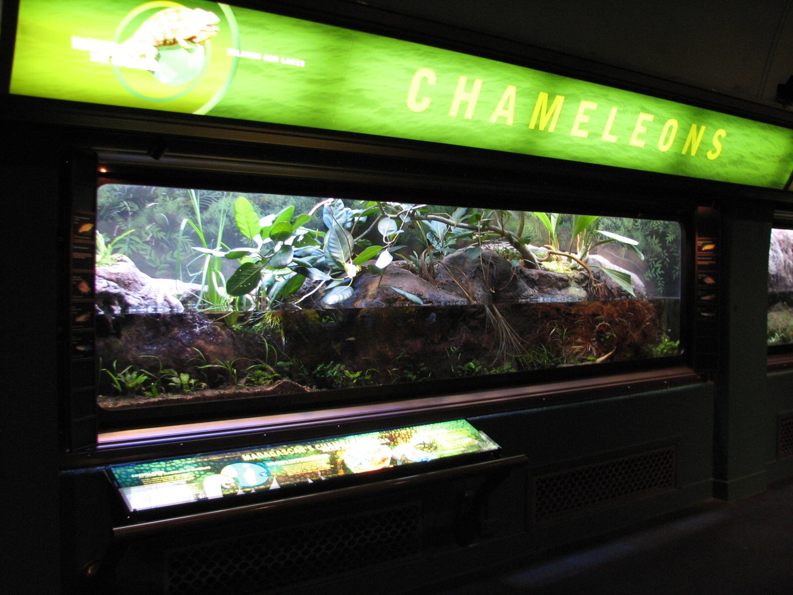 Islands and Lakes - Chameleons Exhibit