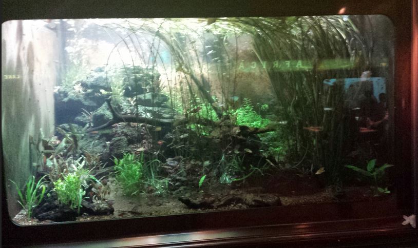 Islands and Lakes Exhibit