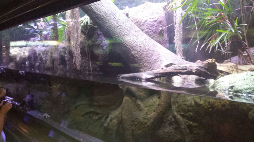 Islands and Lakes Exhibits