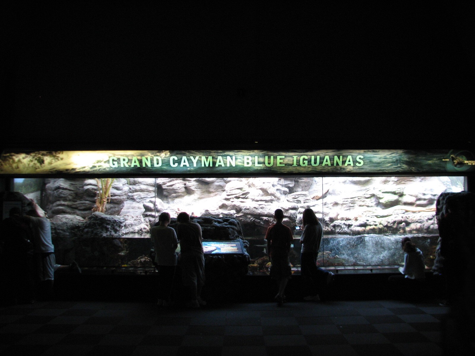 Islands and Lakes - Grand Cayman Blue Iguana Exhibit