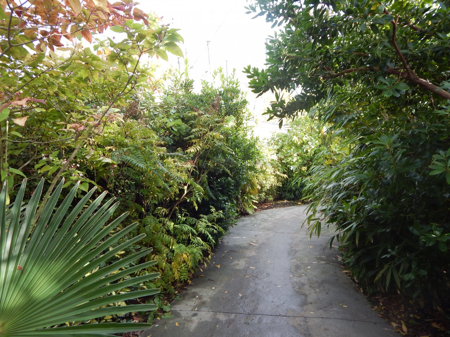 Islands - Aviary 071020