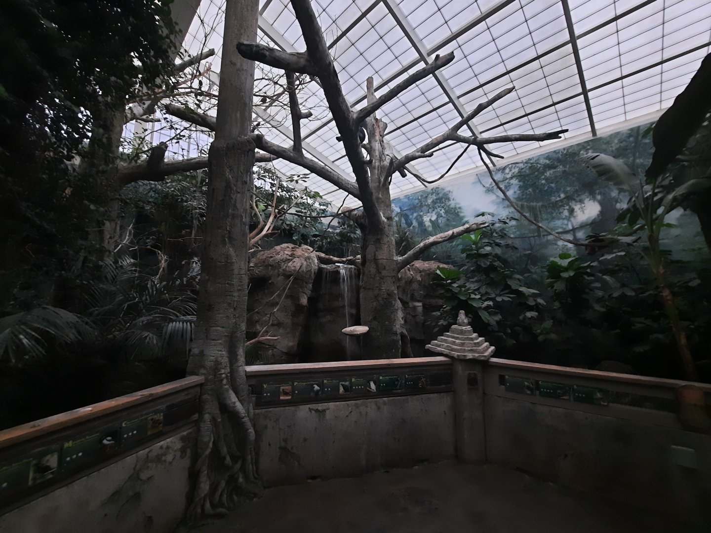 Islands - Aviary 1