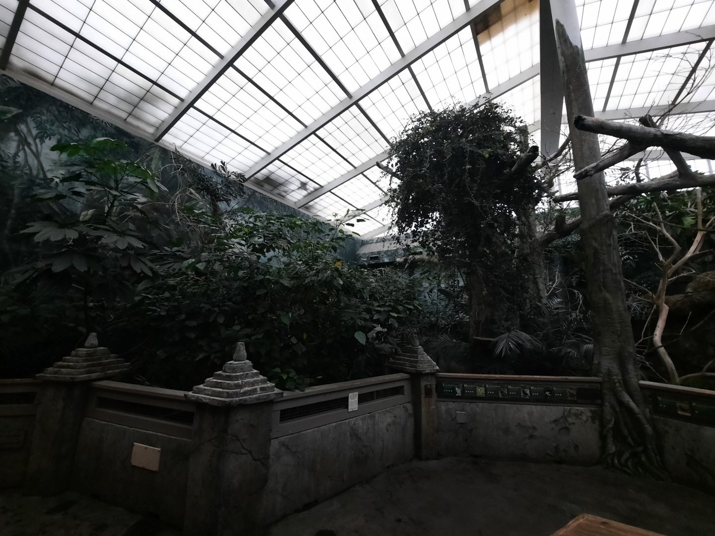 Islands - Aviary 2