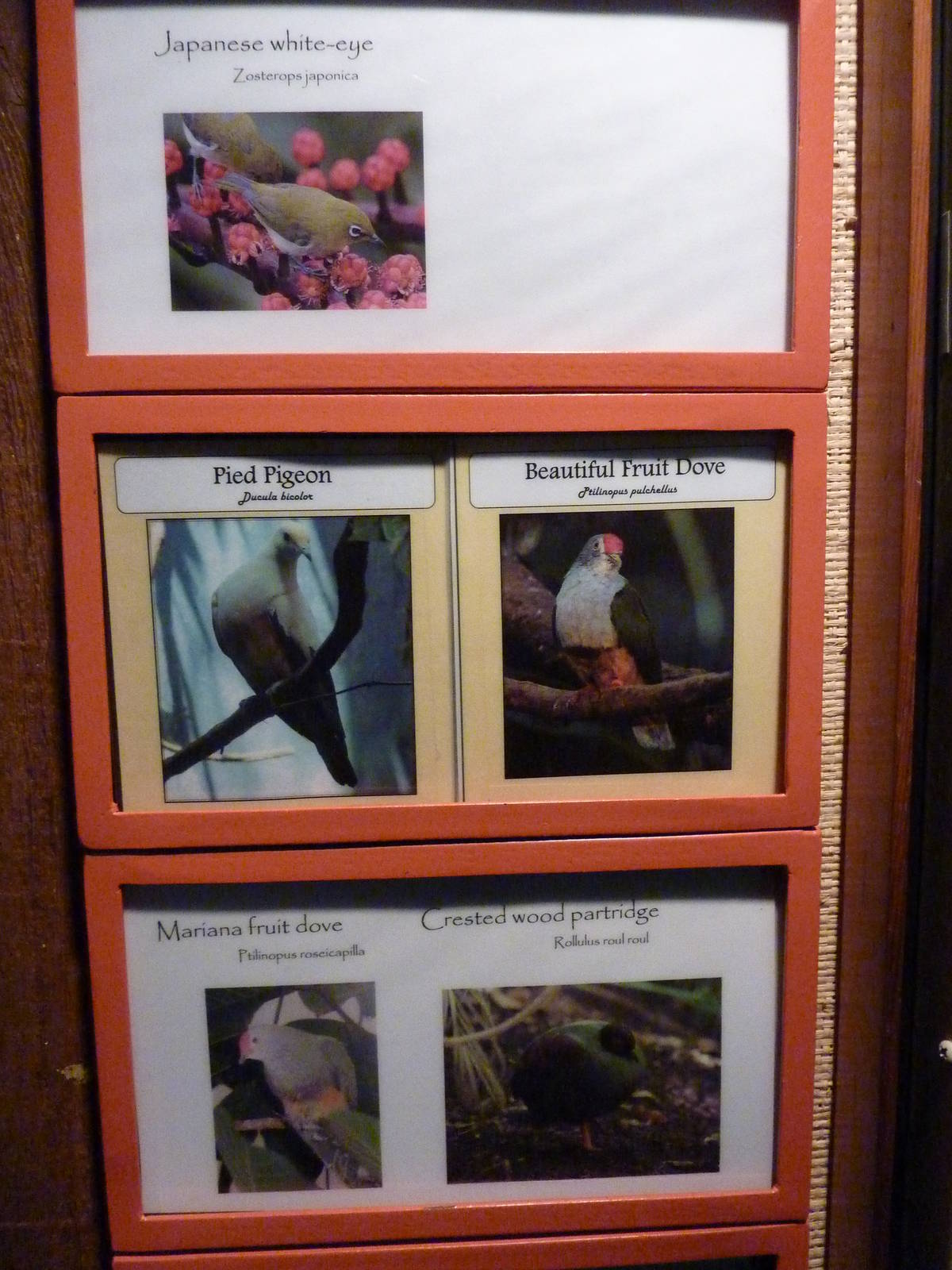 Islands - Aviary Signage