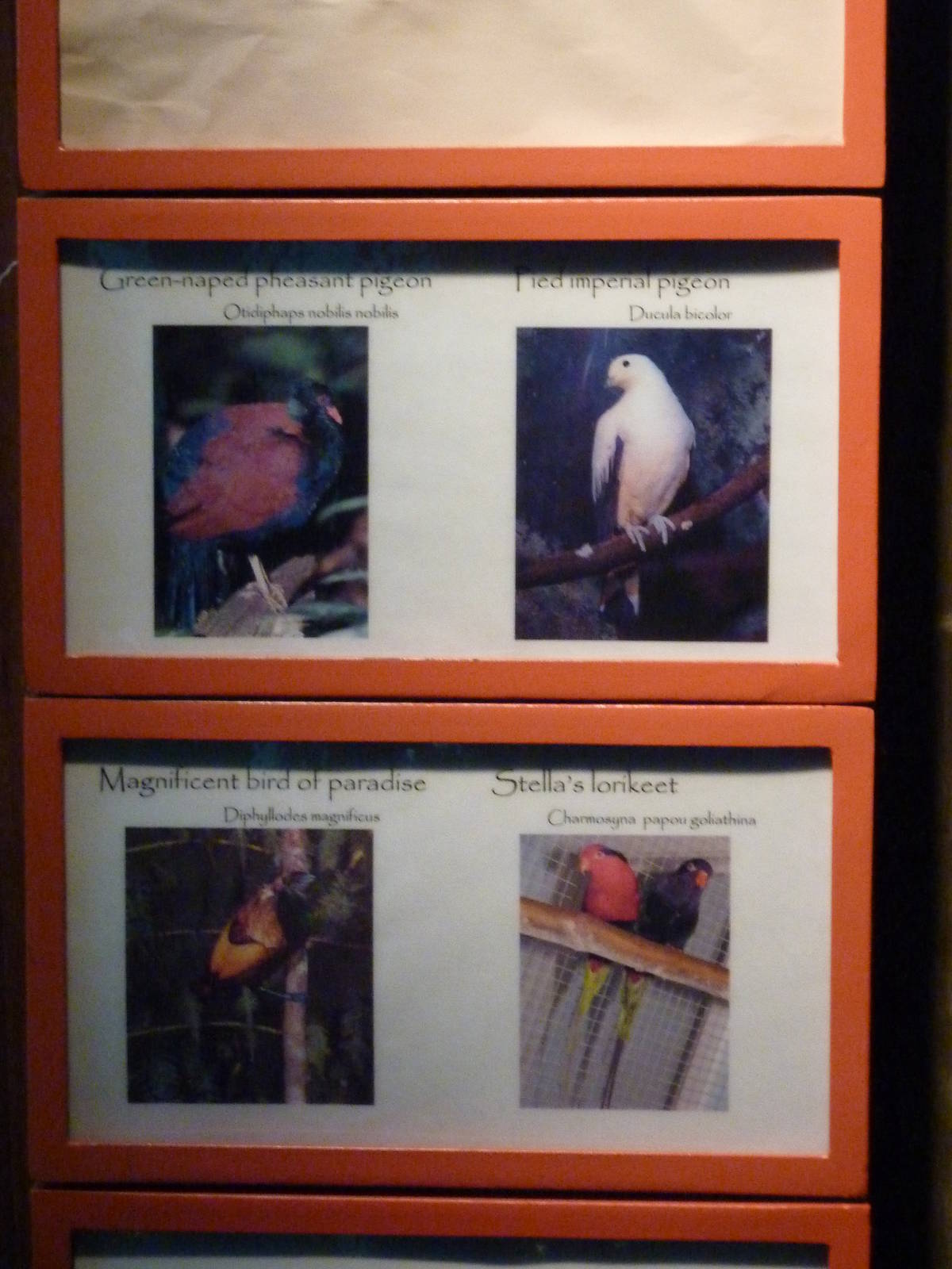 Islands - Aviary Signage