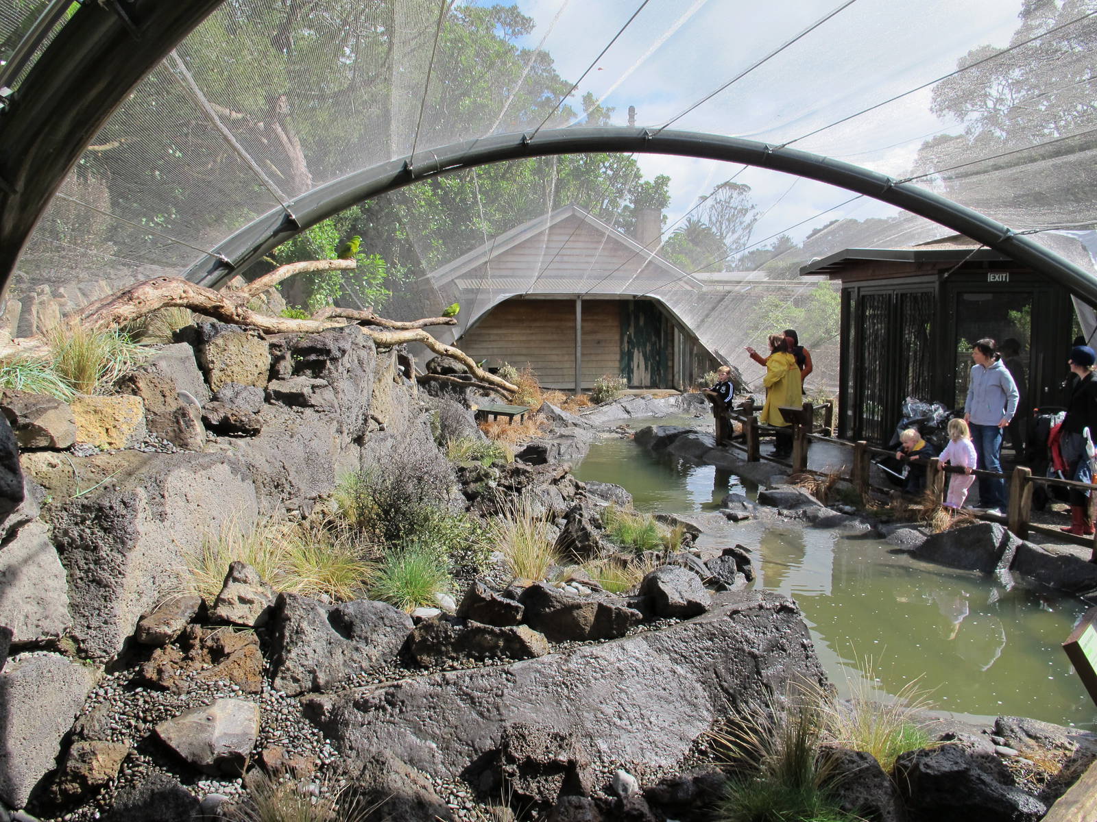 Islands Aviary - Te Wao Nui, Auckland Zoo 2011