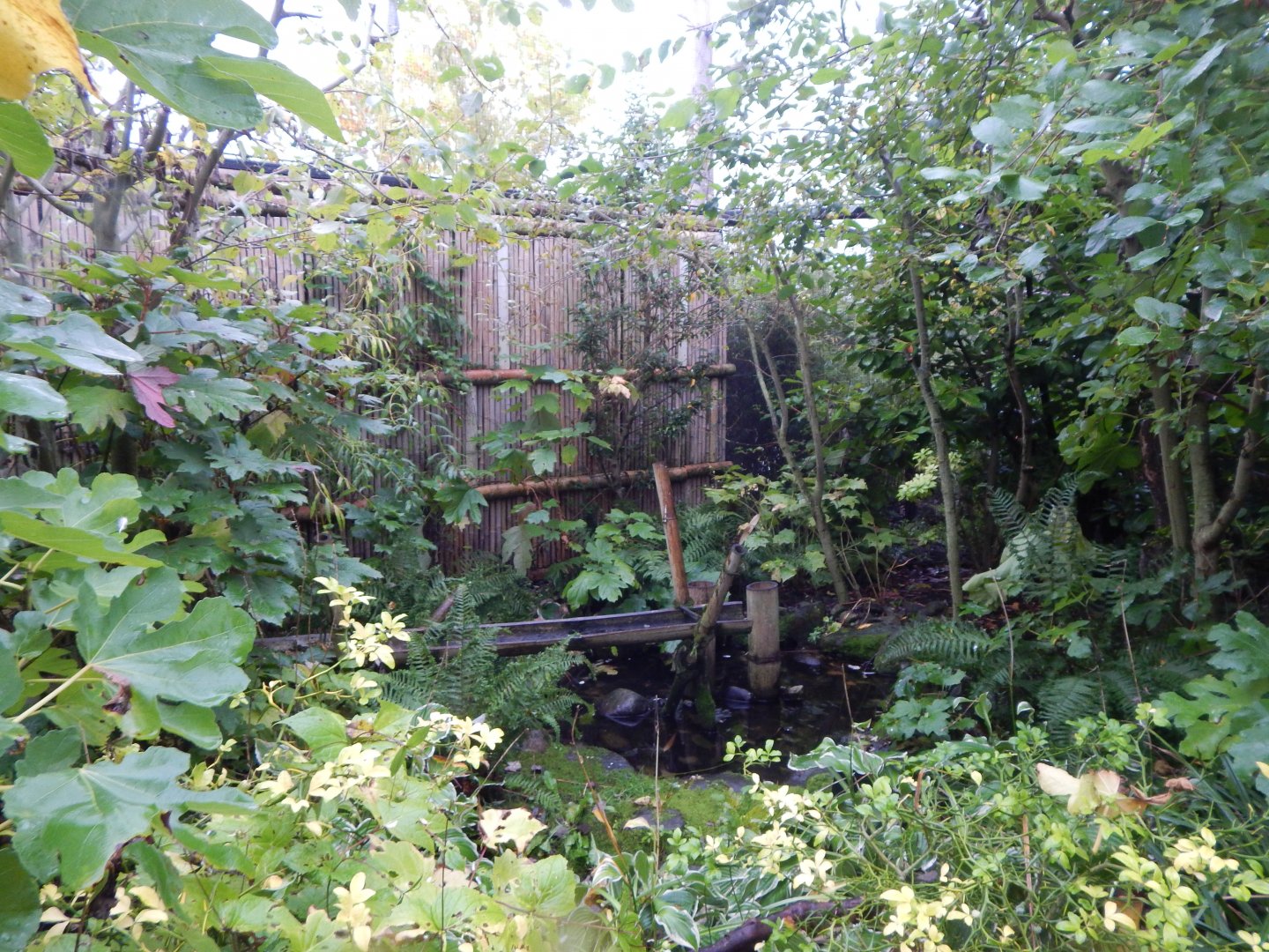 Islands - Bali Aviary 181021