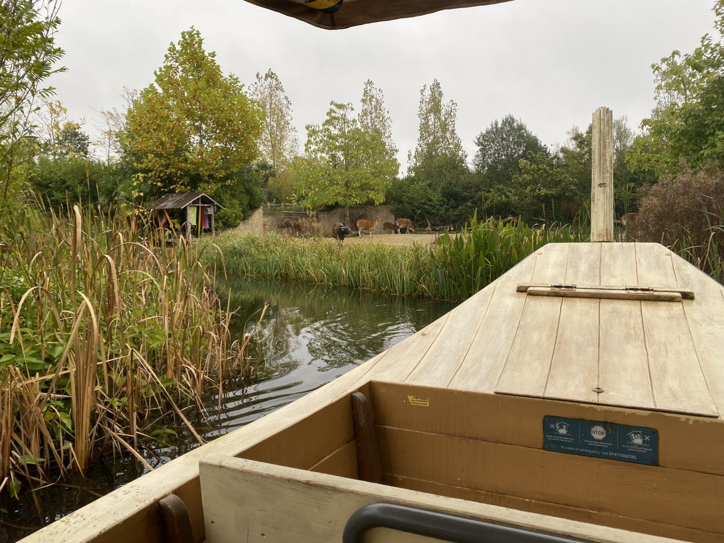 Islands Boat Trip view - Javan banteng enclosure 181021