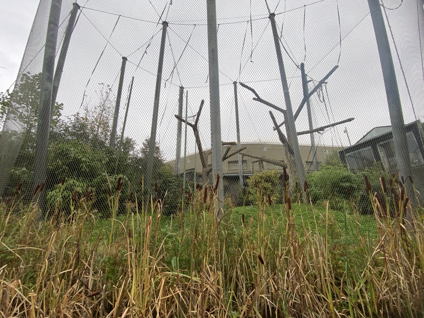 Islands Boat Trip view - primate enclosure 181021